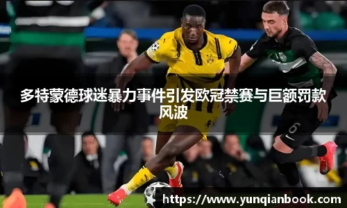 多特蒙德球迷暴力事件引发欧冠禁赛与巨额罚款风波